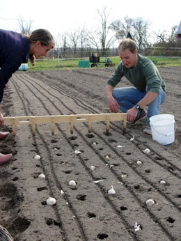 Planting in a field