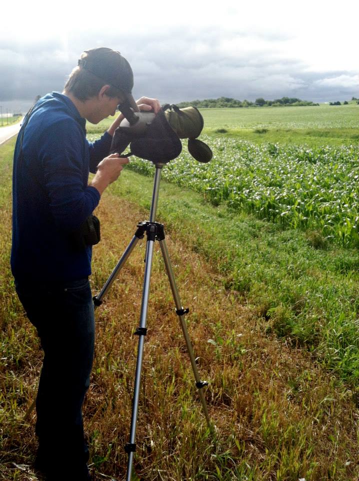 Paul in Action